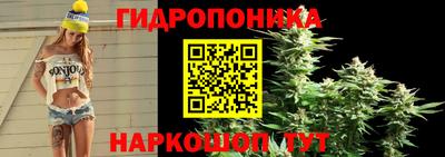 PSILOCYBIN Бугуруслан