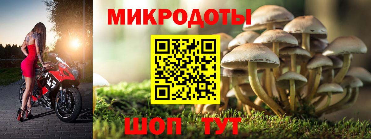 Псилоцибиновые грибы MAGIC MUSHROOMS  Вход с VPN  Ухта 