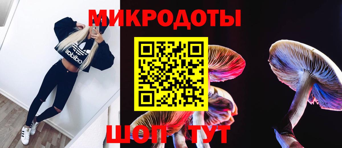 Псилоцибиновые грибы ЛСД Ухта